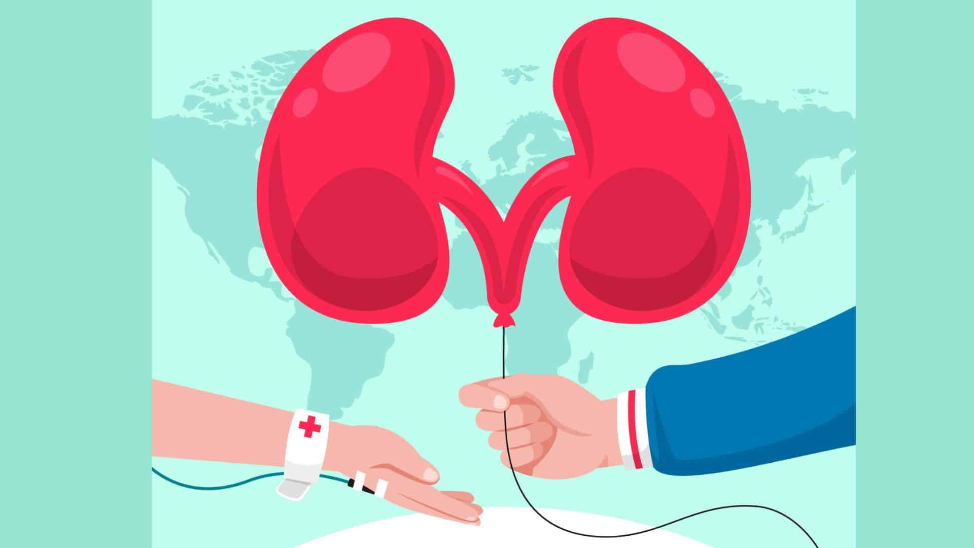 Kidney Transplant Department